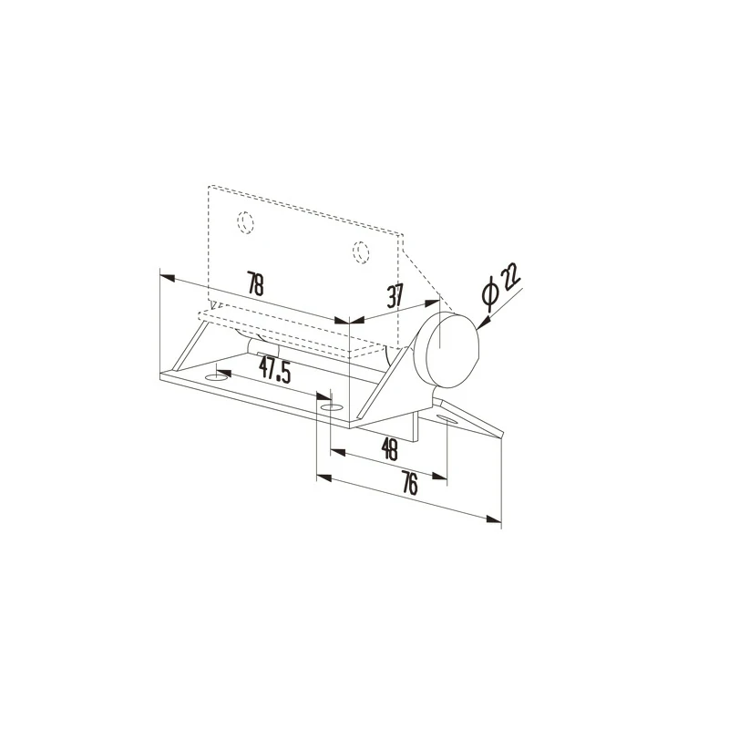 Pool Gate Hinge Structure