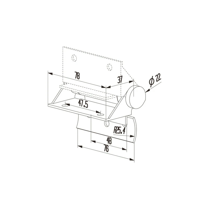 Swimming Pool Gate Hinge Structure